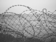 Sosialisasi Pencegahan di Alun-Alun